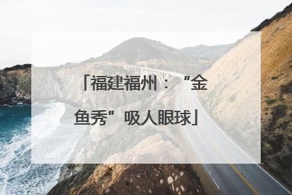 福建福州：“金鱼秀”吸人眼球