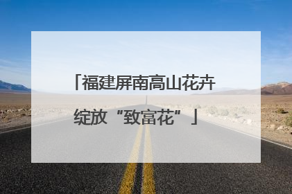 福建屏南高山花卉绽放“致富花”