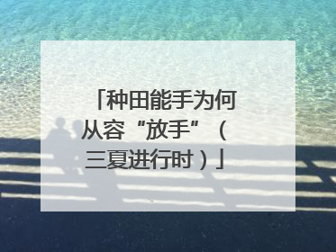 种田能手为何从容“放手”（三夏进行时）