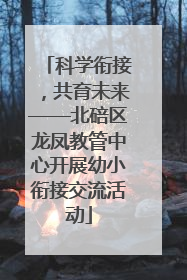 科学衔接，共育未来——北碚区龙凤教管中心开展幼小衔接交流活动