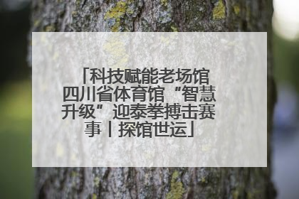 科技赋能老场馆 四川省体育馆“智慧升级”迎泰拳搏击赛事丨探馆世运