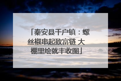 秦安县千户镇：螺丝椒串起致富链 大棚里绘就丰收图