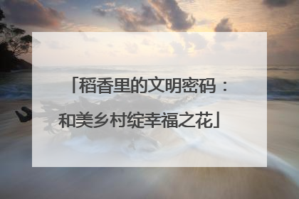 稻香里的文明密码：和美乡村绽幸福之花