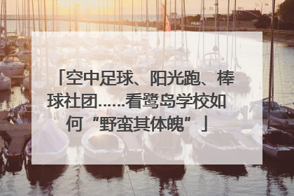 空中足球、阳光跑、棒球社团……看鹭岛学校如何“野蛮其体魄”