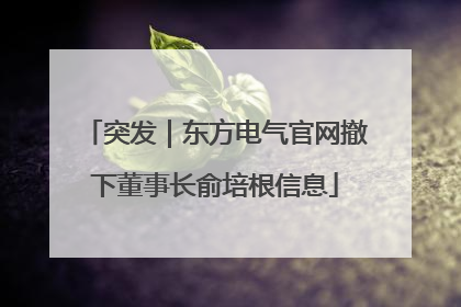 突发｜东方电气官网撤下董事长俞培根信息