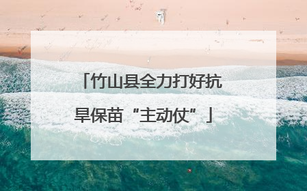竹山县全力打好抗旱保苗“主动仗”