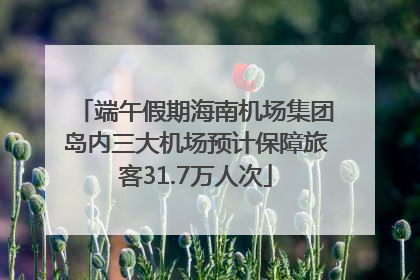 端午假期海南机场集团岛内三大机场预计保障旅客31.7万人次