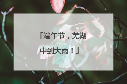 端午节，芜湖中到大雨！