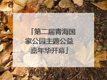 第二届青海国家公园主题公益嘉年华开幕