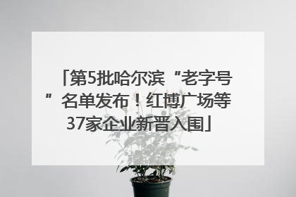 第5批哈尔滨“老字号”名单发布！红博广场等37家企业新晋入围