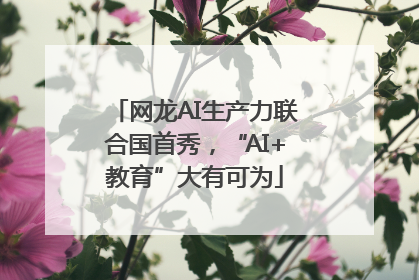 网龙AI生产力联合国首秀，“AI+教育”大有可为