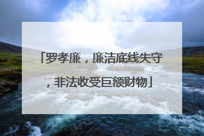 罗孝廉，廉洁底线失守，非法收受巨额财物