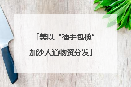 美以“插手包揽”加沙人道物资分发