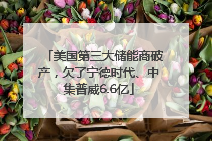 美国第三大储能商破产，欠了宁德时代、中集普威6.6亿