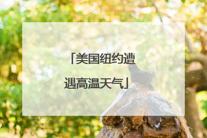 美国纽约遭遇高温天气