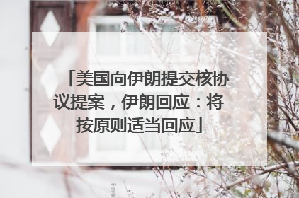 美国向伊朗提交核协议提案，伊朗回应：将按原则适当回应