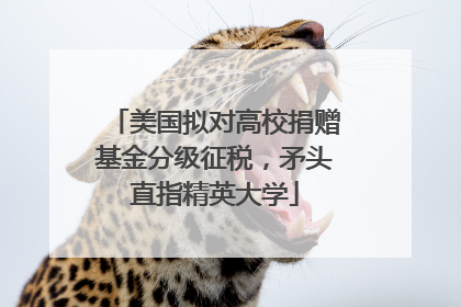美国拟对高校捐赠基金分级征税，矛头直指精英大学