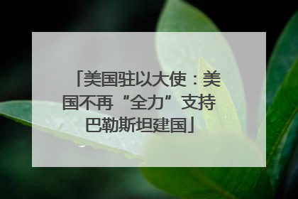 美国驻以大使：美国不再“全力”支持巴勒斯坦建国