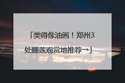 美得像油画！郑州3处睡莲观赏地推荐→