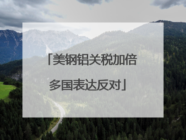 美钢铝关税加倍 多国表达反对