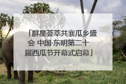 群星荟萃共襄瓜乡盛会 中国·东明第二十届西瓜节开幕式启幕