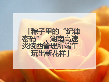 粽子里的“纪律密码”，湖南高速炎陵西管理所端午玩出新花样