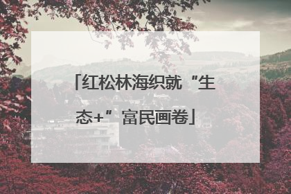 红松林海织就“生态+”富民画卷