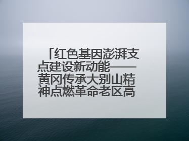 红色基因澎湃支点建设新动能——黄冈传承大别山精神点燃革命老区高质量发展新引擎