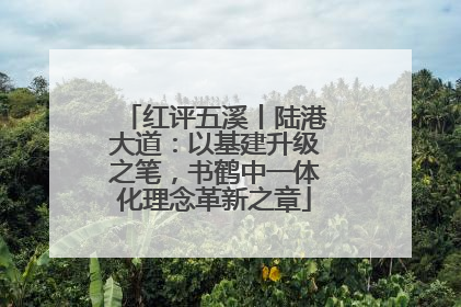 红评五溪丨陆港大道：以基建升级之笔，书鹤中一体化理念革新之章