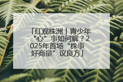 红观株洲丨青少年“心”事如何解？2025年首场“株事好商量”议良方
