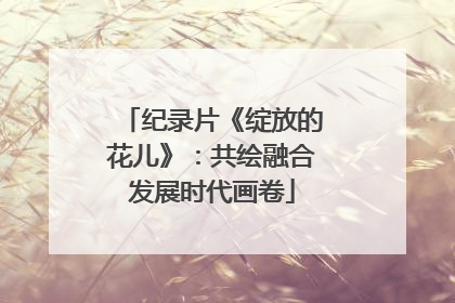 纪录片《绽放的花儿》：共绘融合发展时代画卷