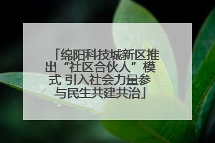 绵阳科技城新区推出“社区合伙人”模式 引入社会力量参与民生共建共治