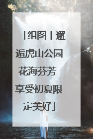组图丨邂逅虎山公园花海芬芳 享受初夏限定美好