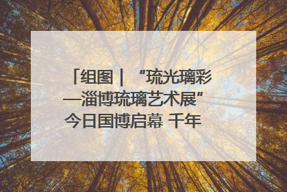 组图｜“琉光璃彩—淄博琉璃艺术展”今日国博启幕 千年窑火绽放京城