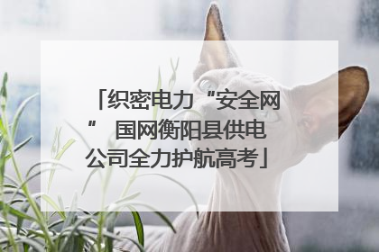 织密电力“安全网” 国网衡阳县供电公司全力护航高考