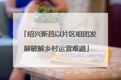 绍兴新昌以片区组团发展破解乡村运营难题