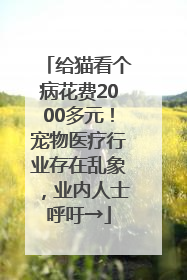 给猫看个病花费2000多元！宠物医疗行业存在乱象，业内人士呼吁→