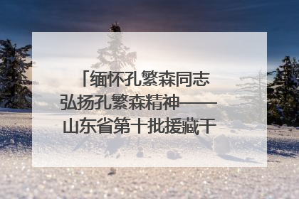 缅怀孔繁森同志 弘扬孔繁森精神——山东省第十批援藏干部人才清明节前到岗巴县开展党性教育