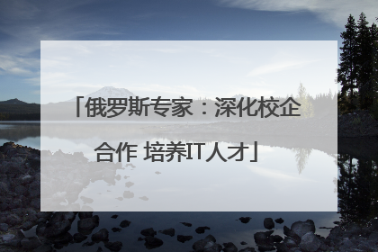 俄罗斯专家：深化校企合作 培养IT人才