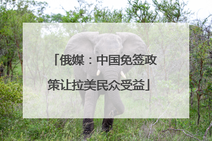 俄媒：中国免签政策让拉美民众受益