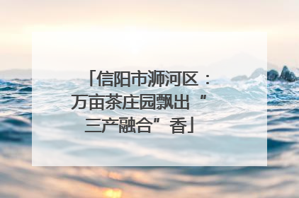 信阳市浉河区：万亩茶庄园飘出“三产融合”香
