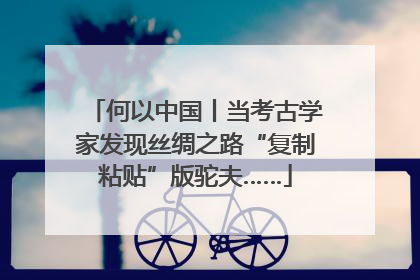 何以中国丨当考古学家发现丝绸之路“复制粘贴”版驼夫……