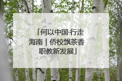 何以中国·行走海南｜侨校飘茶香 职教新发展