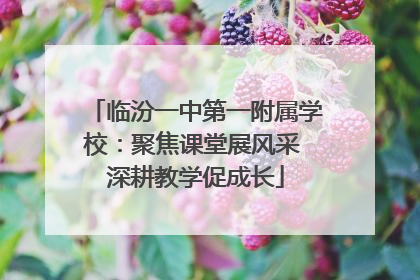 临汾一中第一附属学校：聚焦课堂展风采 深耕教学促成长