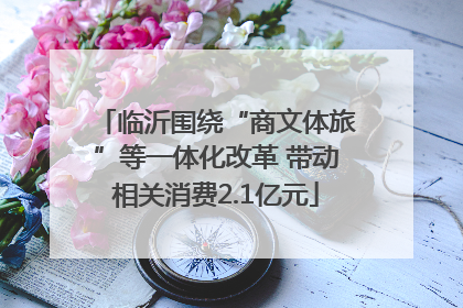 临沂围绕“商文体旅”等一体化改革 带动相关消费2.1亿元