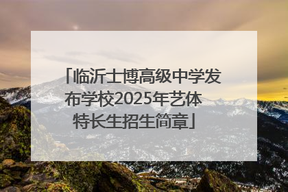 临沂士博高级中学发布学校2025年艺体特长生招生简章