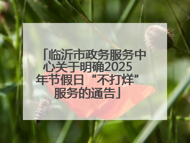 临沂市政务服务中心关于明确2025年节假日“不打烊”服务的通告