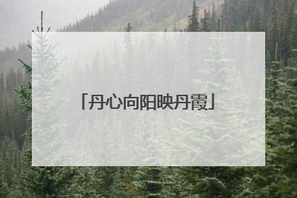 丹心向阳映丹霞