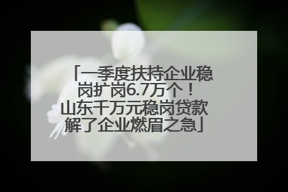 一季度扶持企业稳岗扩岗6.7万个！山东千万元稳岗贷款解了企业燃眉之急