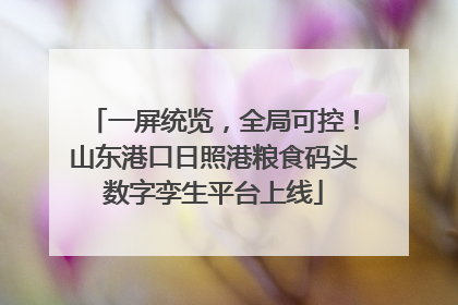 一屏统览，全局可控！山东港口日照港粮食码头数字孪生平台上线